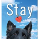 stay-cover stay-cover