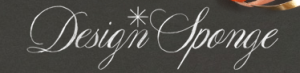 design sponge logo