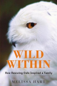 WildWithinCover